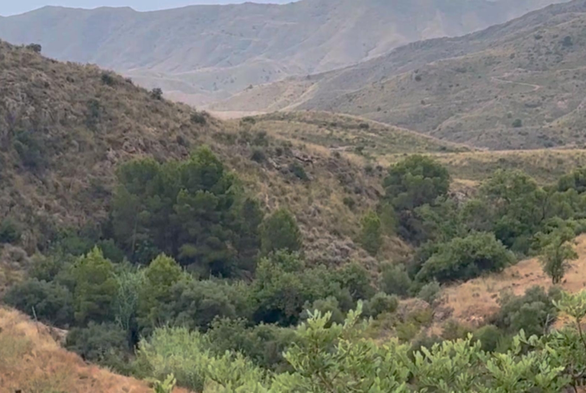 ^^FINCA RÚSTICA DE MÁS DE 2.500.000 M² EN ALQUILER CON OPCIÓN A COMPRA, CON POSIBILIDAD DE RECONSTRUCCIÓN DE VIVIENDAS DE MÁS DE 600 M², ENTRE LORCA Y ÁGUILAS, MURCIA. VISTAS AL MAR^^ Se ofrec