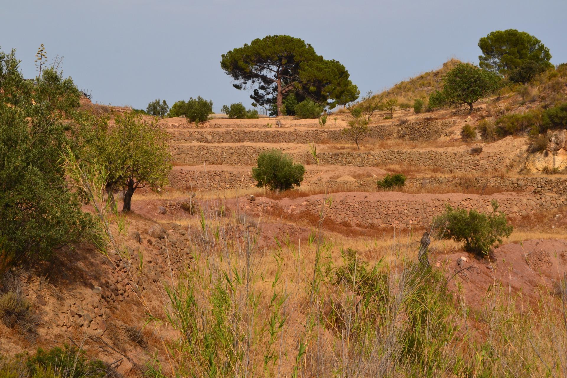 18-3 ^^FINCA RÚSTICA DE MÁS DE 2.500.000 M² EN ALQUILER CON OPCIÓN A COMPRA, CON POSIBILIDAD DE RECONSTRUCCIÓN DE VIVIENDAS DE MÁS DE 600 M², ENTRE LORCA Y ÁGUILAS, MURCIA. VISTAS AL MAR^^ Se ofrec