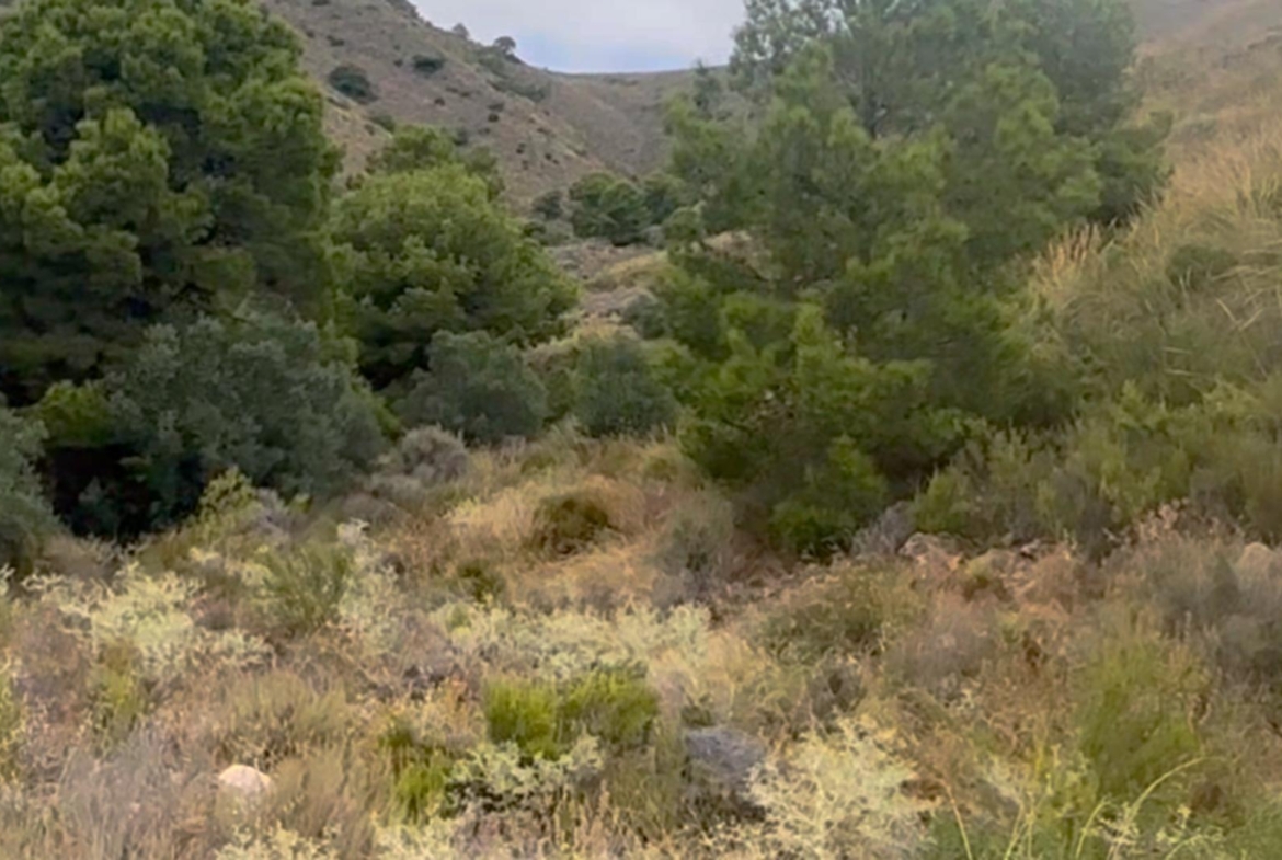^^FINCA RÚSTICA DE MÁS DE 2.500.000 M² EN ALQUILER CON OPCIÓN A COMPRA, CON POSIBILIDAD DE RECONSTRUCCIÓN DE VIVIENDAS DE MÁS DE 600 M², ENTRE LORCA Y ÁGUILAS, MURCIA. VISTAS AL MAR^^ Se ofrec