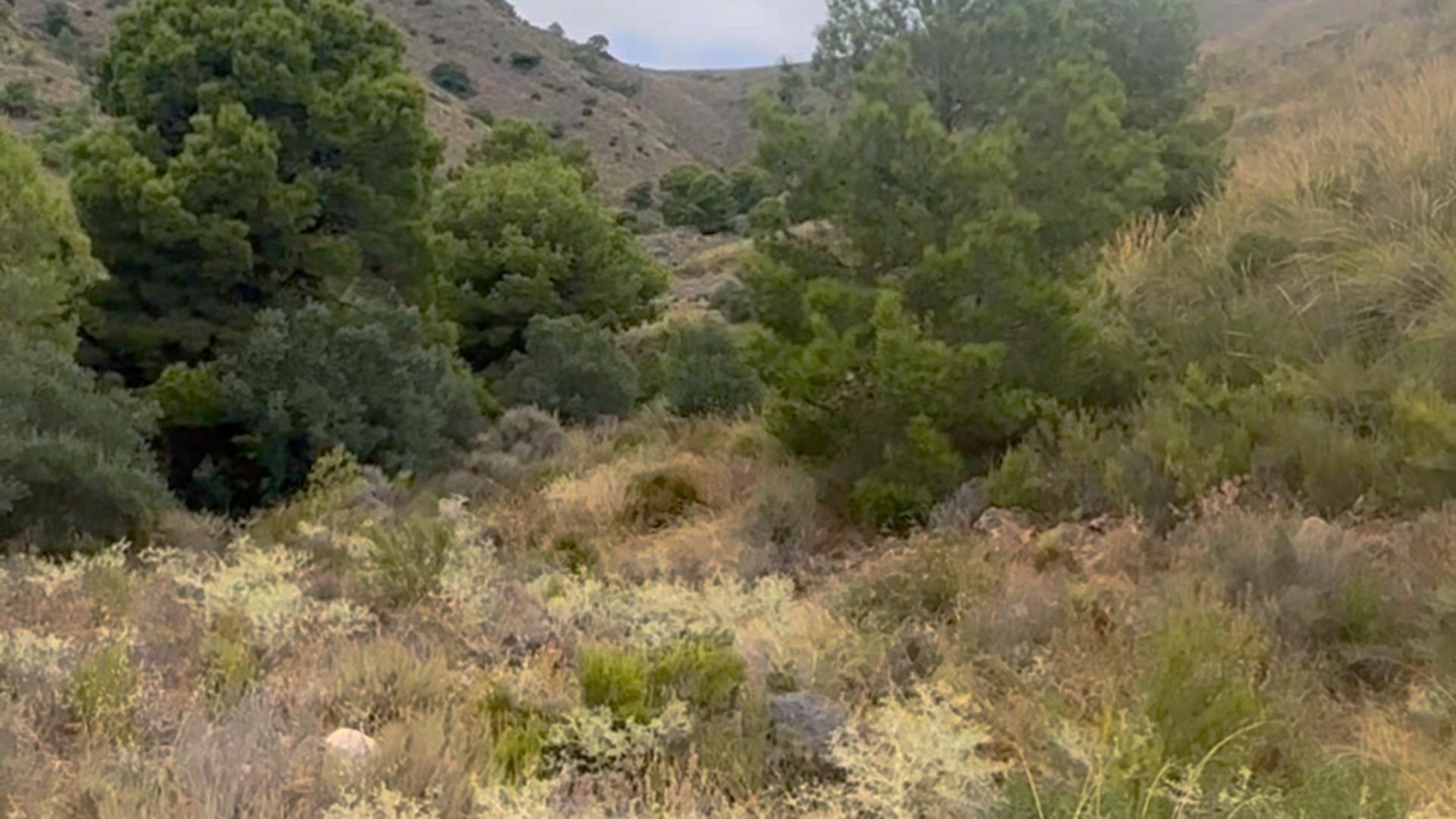 18-30 ^^FINCA RÚSTICA DE MÁS DE 2.500.000 M² EN ALQUILER CON OPCIÓN A COMPRA, CON POSIBILIDAD DE RECONSTRUCCIÓN DE VIVIENDAS DE MÁS DE 600 M², ENTRE LORCA Y ÁGUILAS, MURCIA. VISTAS AL MAR^^ Se ofrec