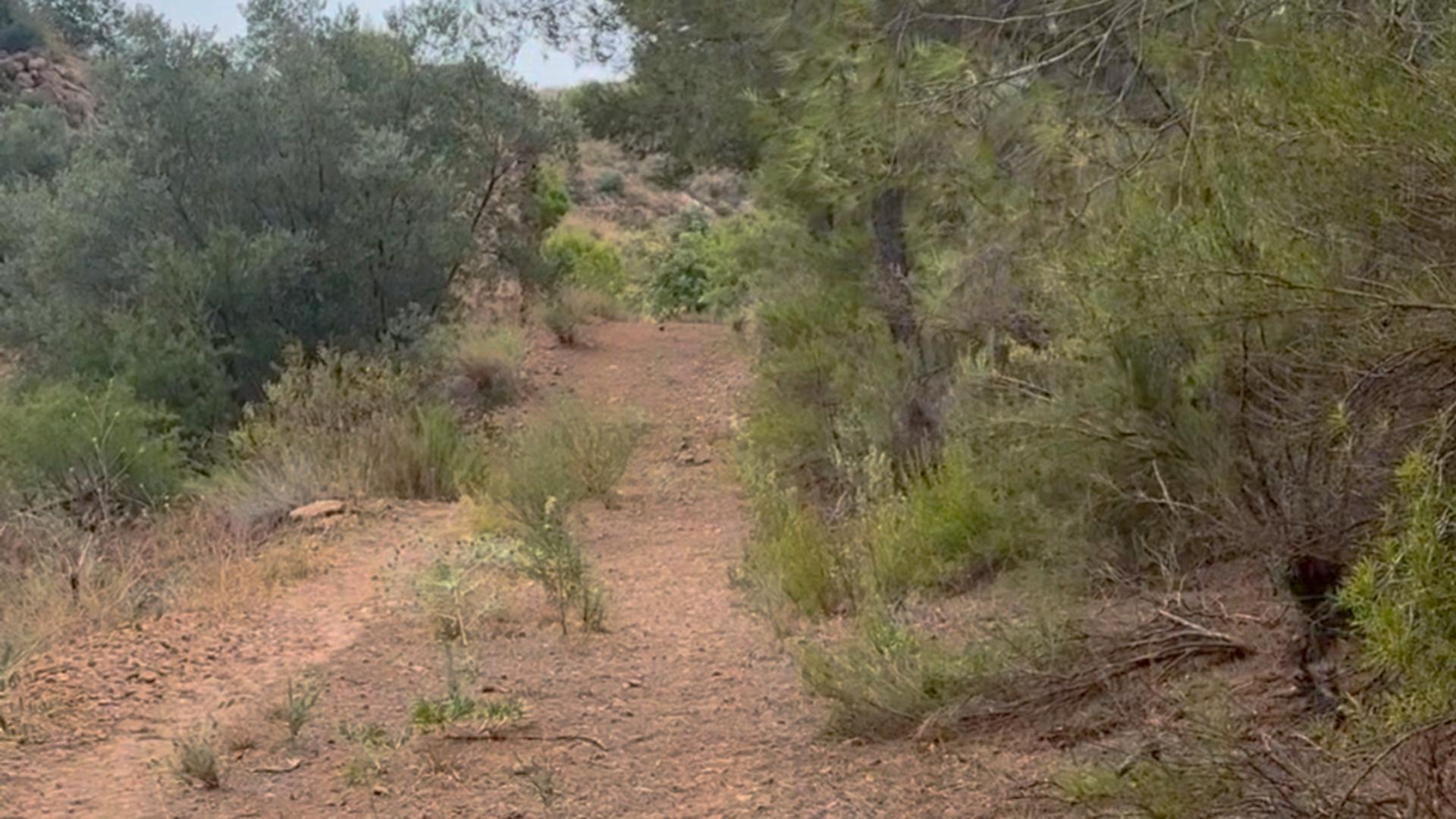 18-36 ^^FINCA RÚSTICA DE MÁS DE 2.500.000 M² EN ALQUILER CON OPCIÓN A COMPRA, CON POSIBILIDAD DE RECONSTRUCCIÓN DE VIVIENDAS DE MÁS DE 600 M², ENTRE LORCA Y ÁGUILAS, MURCIA. VISTAS AL MAR^^ Se ofrec