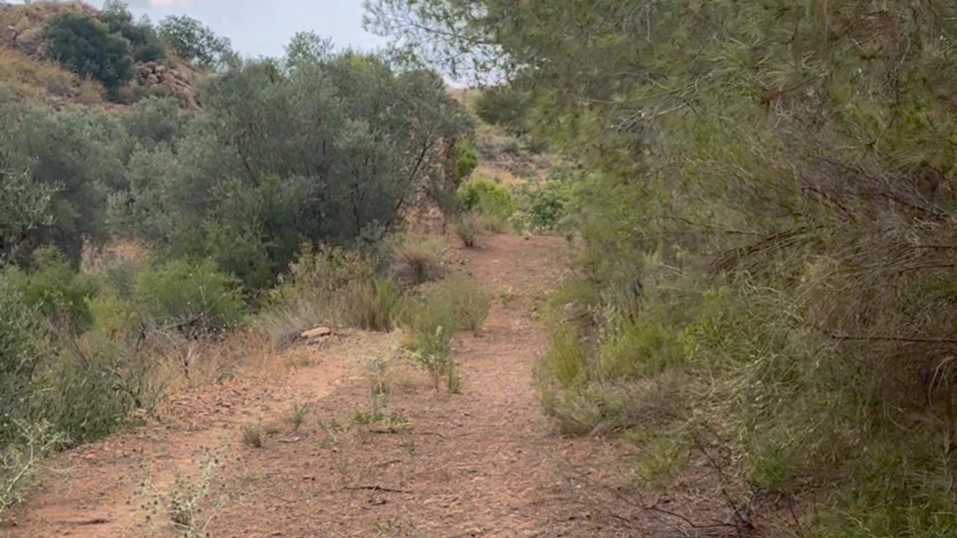 18-37 ^^FINCA RÚSTICA DE MÁS DE 2.500.000 M² EN ALQUILER CON OPCIÓN A COMPRA, CON POSIBILIDAD DE RECONSTRUCCIÓN DE VIVIENDAS DE MÁS DE 600 M², ENTRE LORCA Y ÁGUILAS, MURCIA. VISTAS AL MAR^^ Se ofrec