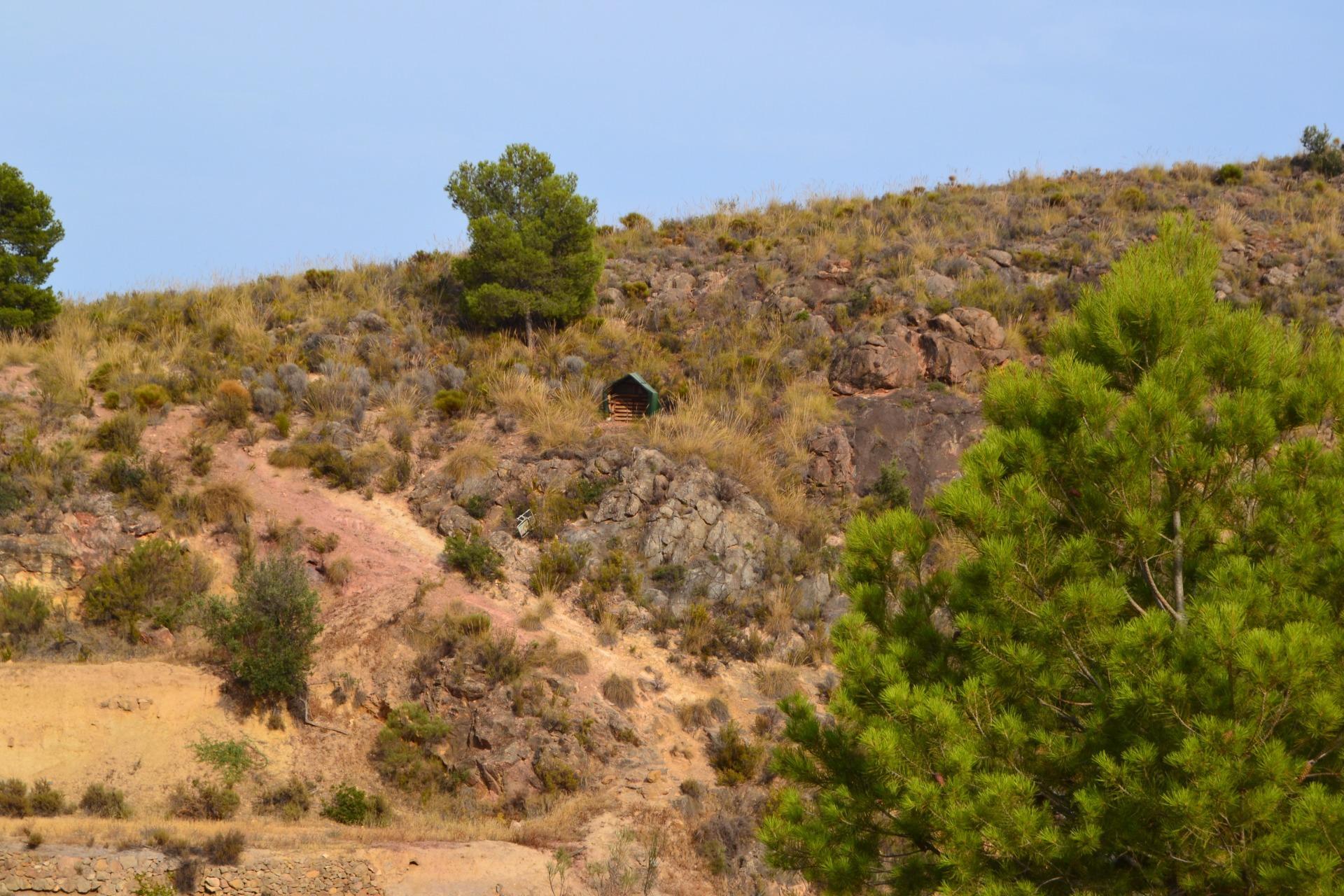 18-4 ^^FINCA RÚSTICA DE MÁS DE 2.500.000 M² EN ALQUILER CON OPCIÓN A COMPRA, CON POSIBILIDAD DE RECONSTRUCCIÓN DE VIVIENDAS DE MÁS DE 600 M², ENTRE LORCA Y ÁGUILAS, MURCIA. VISTAS AL MAR^^ Se ofrec