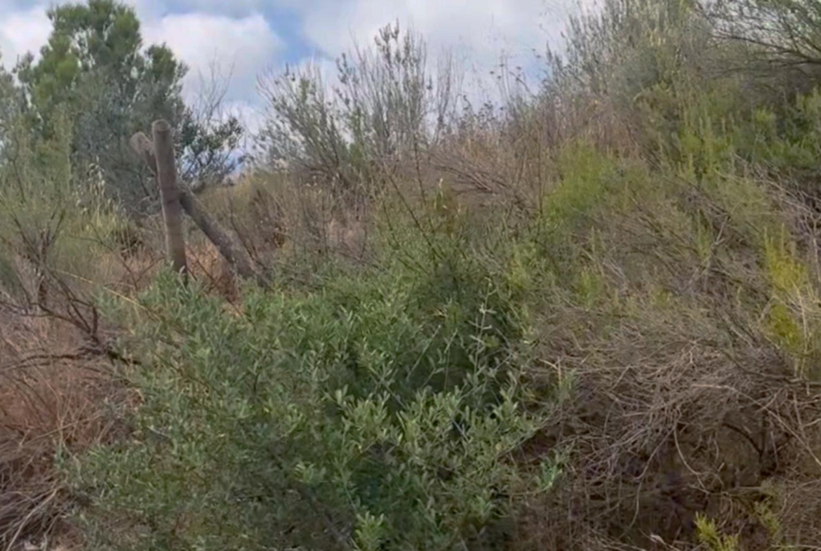 ^^FINCA RÚSTICA DE MÁS DE 2.500.000 M² EN ALQUILER CON OPCIÓN A COMPRA, CON POSIBILIDAD DE RECONSTRUCCIÓN DE VIVIENDAS DE MÁS DE 600 M², ENTRE LORCA Y ÁGUILAS, MURCIA. VISTAS AL MAR^^ Se ofrec