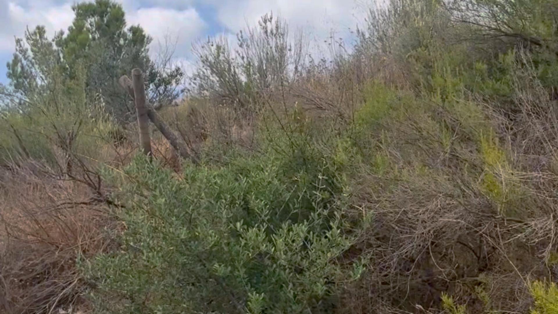 18-41 ^^FINCA RÚSTICA DE MÁS DE 2.500.000 M² EN ALQUILER CON OPCIÓN A COMPRA, CON POSIBILIDAD DE RECONSTRUCCIÓN DE VIVIENDAS DE MÁS DE 600 M², ENTRE LORCA Y ÁGUILAS, MURCIA. VISTAS AL MAR^^ Se ofrec