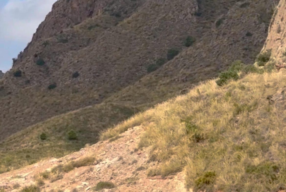 ^^FINCA RÚSTICA DE MÁS DE 2.500.000 M² EN ALQUILER CON OPCIÓN A COMPRA, CON POSIBILIDAD DE RECONSTRUCCIÓN DE VIVIENDAS DE MÁS DE 600 M², ENTRE LORCA Y ÁGUILAS, MURCIA. VISTAS AL MAR^^ Se ofrec