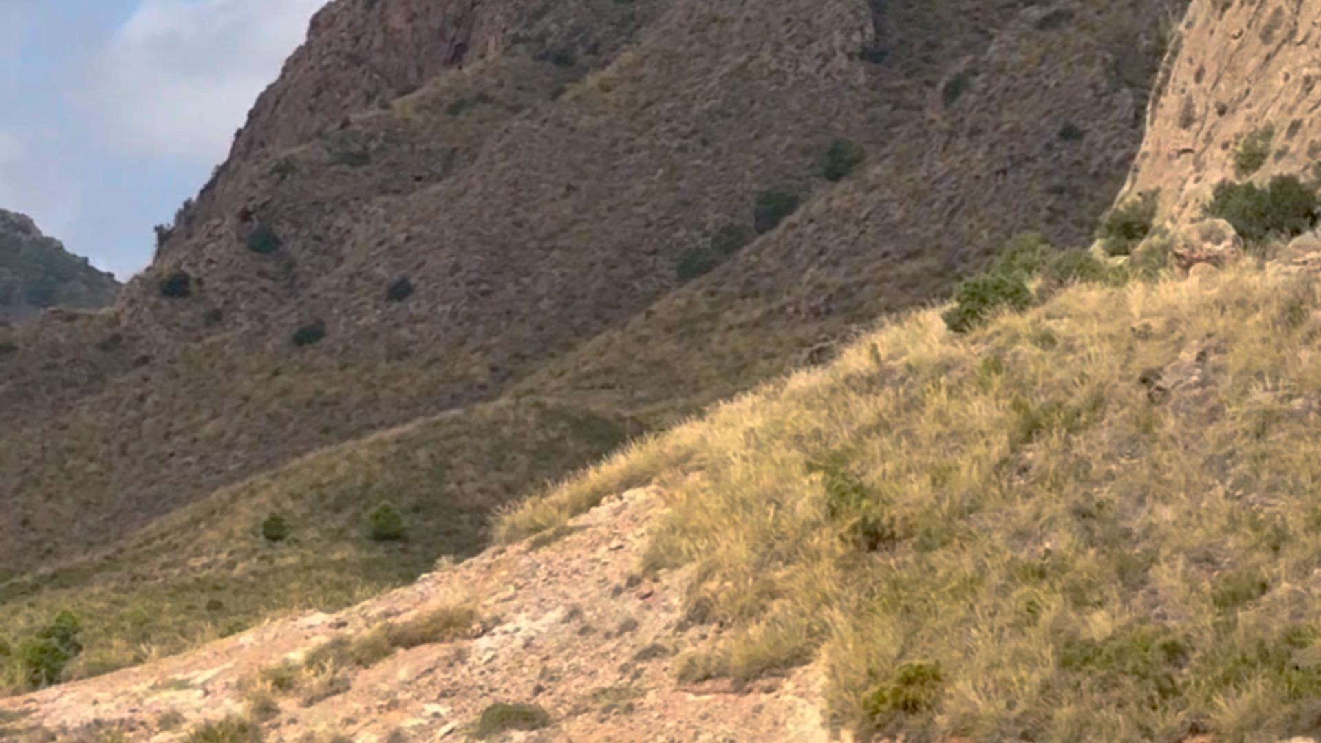 18-44 ^^FINCA RÚSTICA DE MÁS DE 2.500.000 M² EN ALQUILER CON OPCIÓN A COMPRA, CON POSIBILIDAD DE RECONSTRUCCIÓN DE VIVIENDAS DE MÁS DE 600 M², ENTRE LORCA Y ÁGUILAS, MURCIA. VISTAS AL MAR^^ Se ofrec