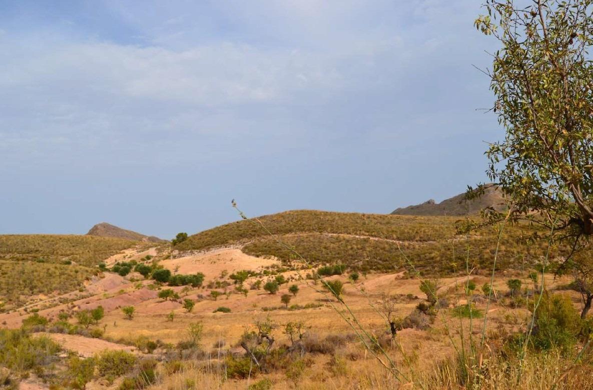 18-57 ^^FINCA RÚSTICA DE MÁS DE 2.500.000 M² EN ALQUILER CON OPCIÓN A COMPRA, CON POSIBILIDAD DE RECONSTRUCCIÓN DE VIVIENDAS DE MÁS DE 600 M², ENTRE LORCA Y ÁGUILAS, MURCIA. VISTAS AL MAR^^ Se ofrec