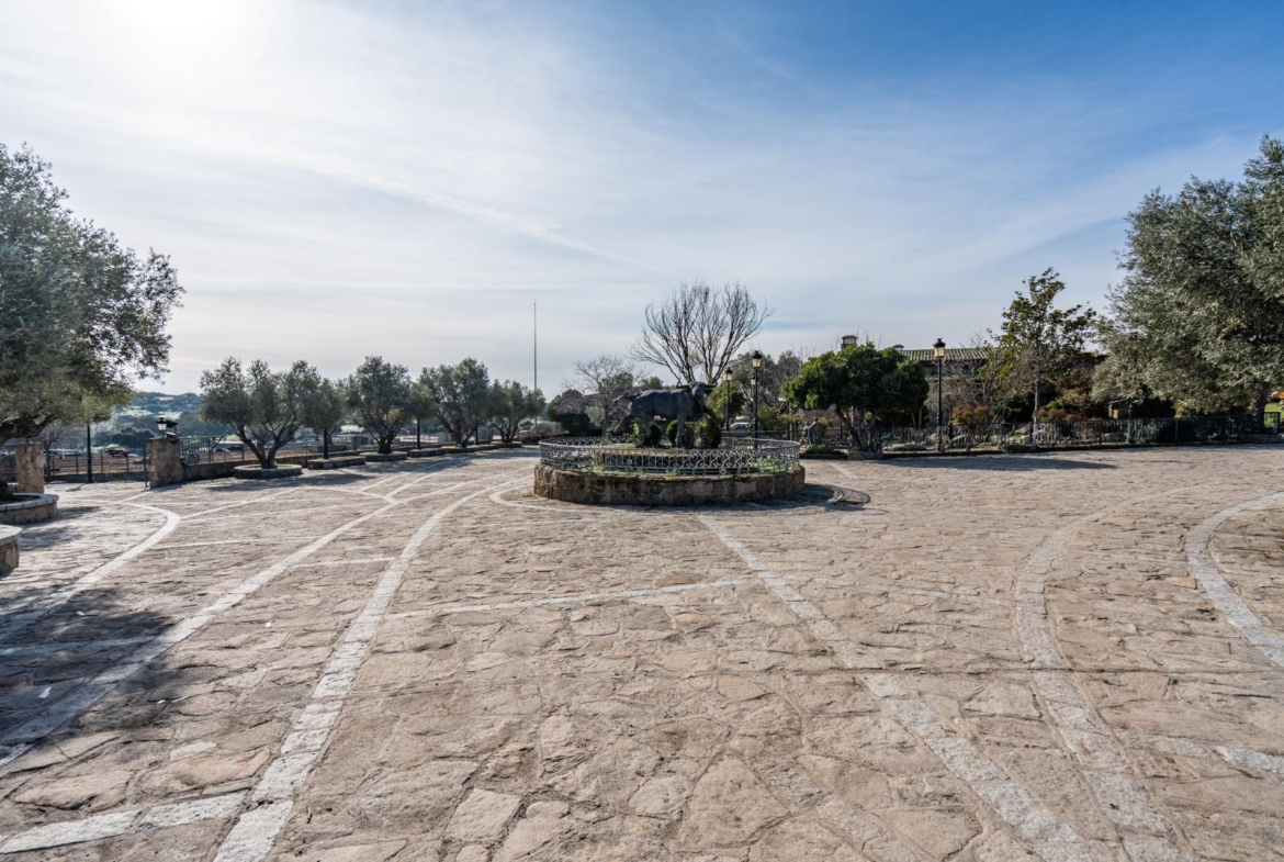 FINCA GANADERA DE LUJO EN ROBLEDO DE CHAVELA CON PLAZA DE TOROS Y ESPACIOS PARA EVENTOS