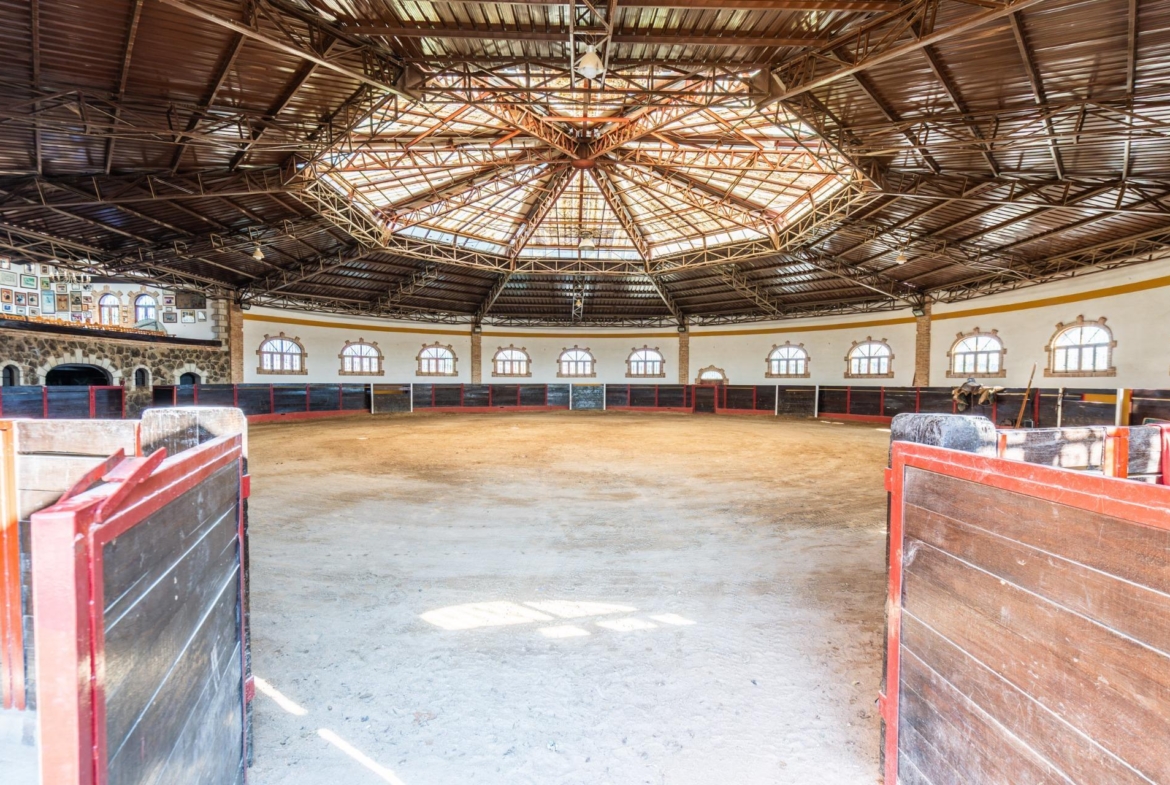 FINCA GANADERA DE LUJO EN ROBLEDO DE CHAVELA CON PLAZA DE TOROS Y ESPACIOS PARA EVENTOS