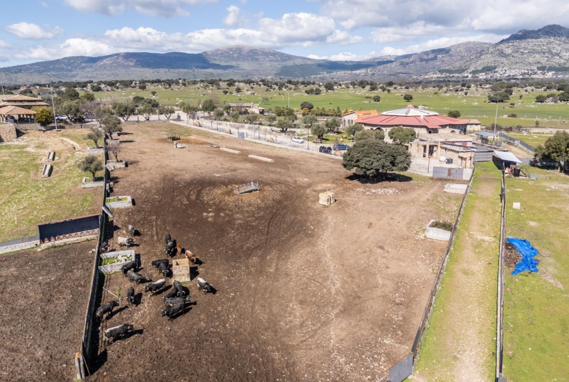 FINCA GANADERA DE LUJO EN ROBLEDO DE CHAVELA CON PLAZA DE TOROS Y ESPACIOS PARA EVENTOS