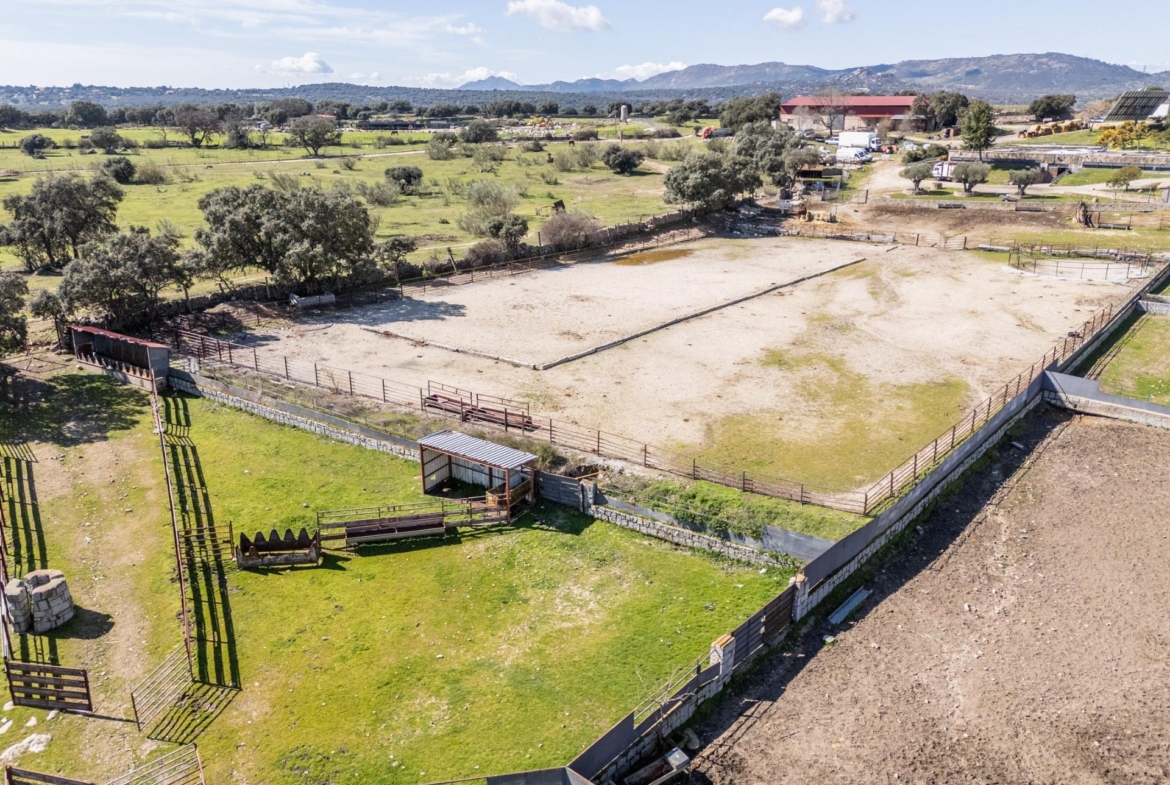 FINCA GANADERA DE LUJO EN ROBLEDO DE CHAVELA CON PLAZA DE TOROS Y ESPACIOS PARA EVENTOS