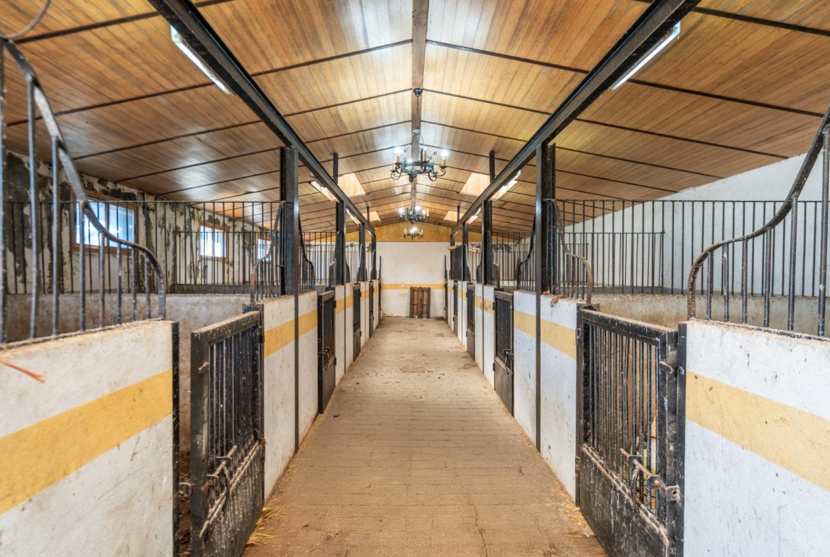 FINCA GANADERA DE LUJO EN ROBLEDO DE CHAVELA CON PLAZA DE TOROS Y ESPACIOS PARA EVENTOS