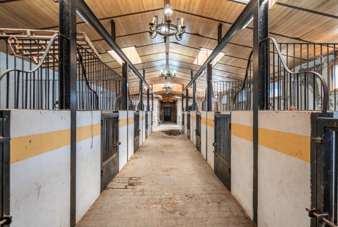 FINCA GANADERA DE LUJO EN ROBLEDO DE CHAVELA CON PLAZA DE TOROS Y ESPACIOS PARA EVENTOS