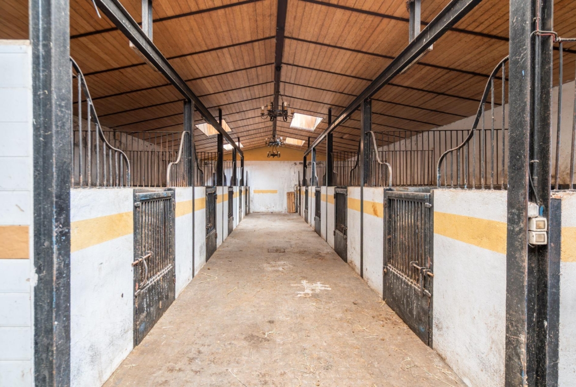 FINCA GANADERA DE LUJO EN ROBLEDO DE CHAVELA CON PLAZA DE TOROS Y ESPACIOS PARA EVENTOS