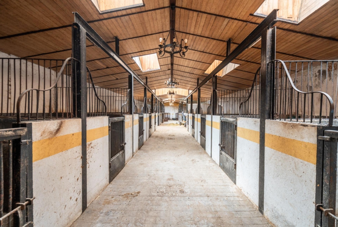 FINCA GANADERA DE LUJO EN ROBLEDO DE CHAVELA CON PLAZA DE TOROS Y ESPACIOS PARA EVENTOS