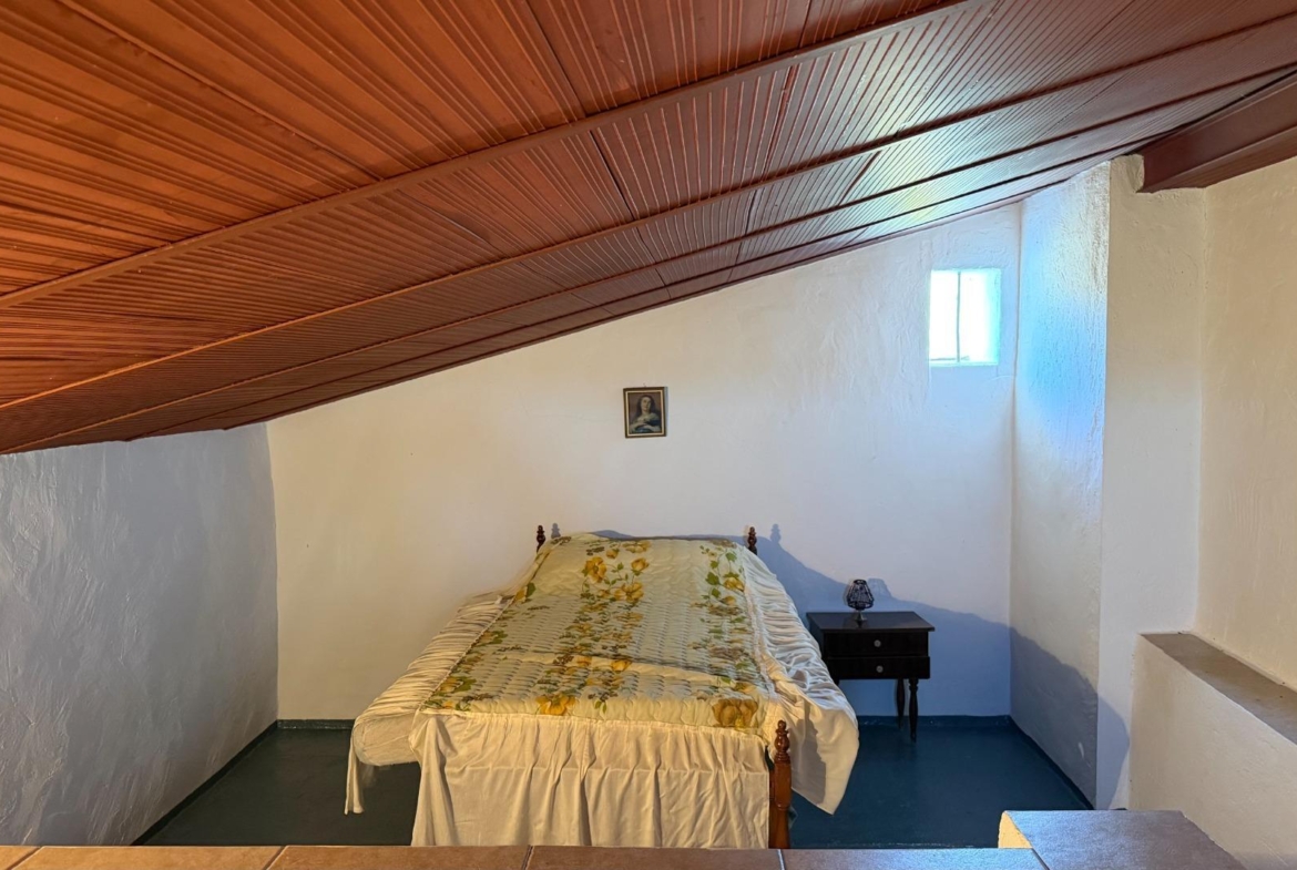 ESPECTACULAR FINCA DE 88HA DE PASTOS CON CORTIJO Y NAVES A 40 MIN DE LA COSTA