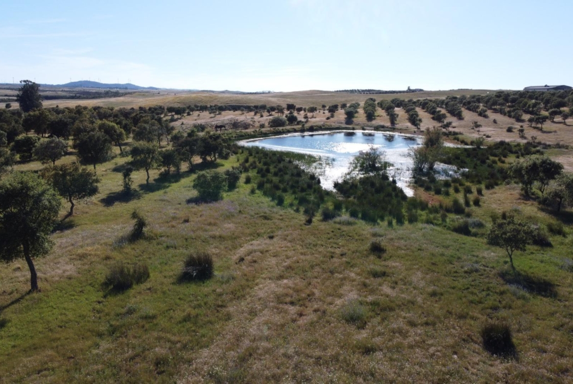 ESPECTACULAR FINCA DE 88HA DE PASTOS CON CORTIJO Y NAVES A 40 MIN DE LA COSTA