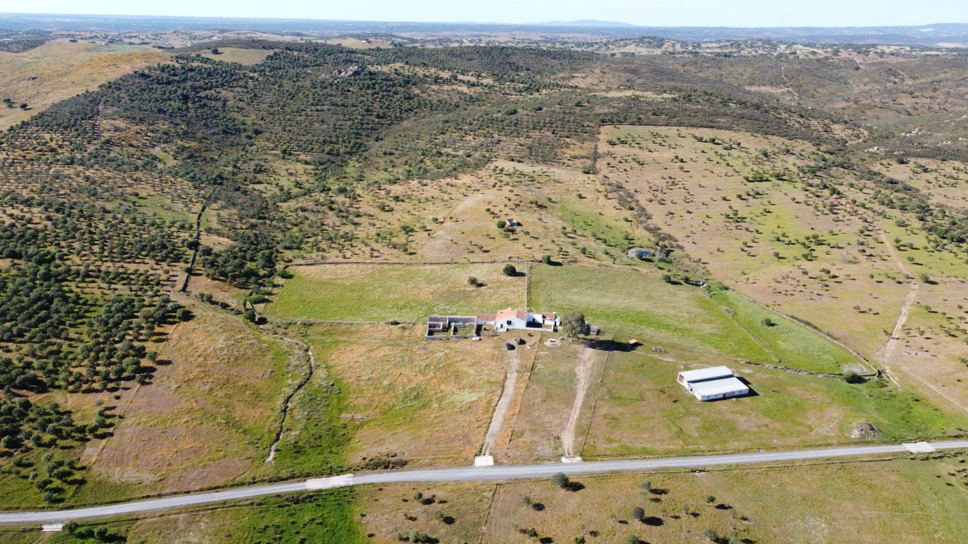 11-3 ESPECTACULAR FINCA DE 88HA DE PASTOS CON CORTIJO Y NAVES A 40 MIN DE LA COSTA