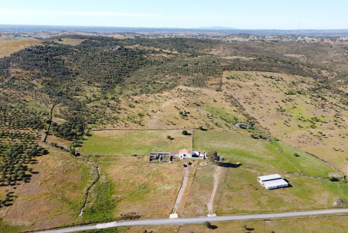 ESPECTACULAR FINCA DE 88HA DE PASTOS CON CORTIJO Y NAVES A 40 MIN DE LA COSTA