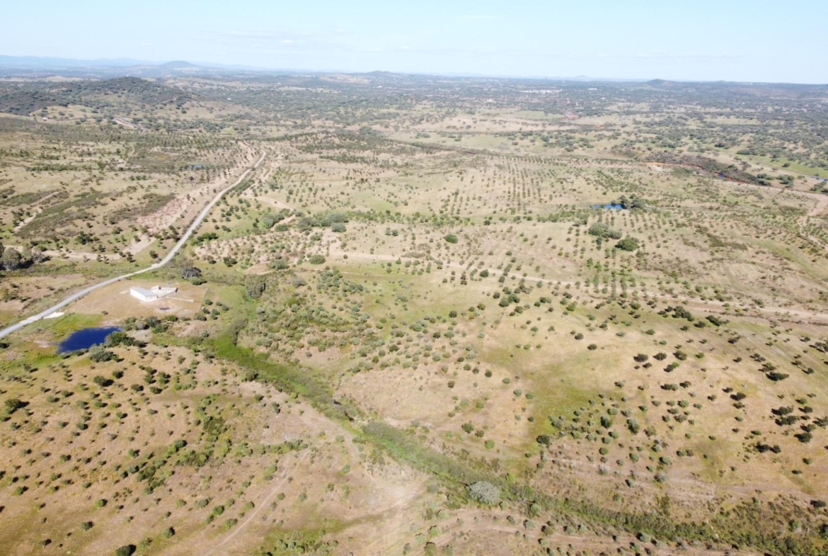 ESPECTACULAR FINCA DE 88HA DE PASTOS CON CORTIJO Y NAVES A 40 MIN DE LA COSTA