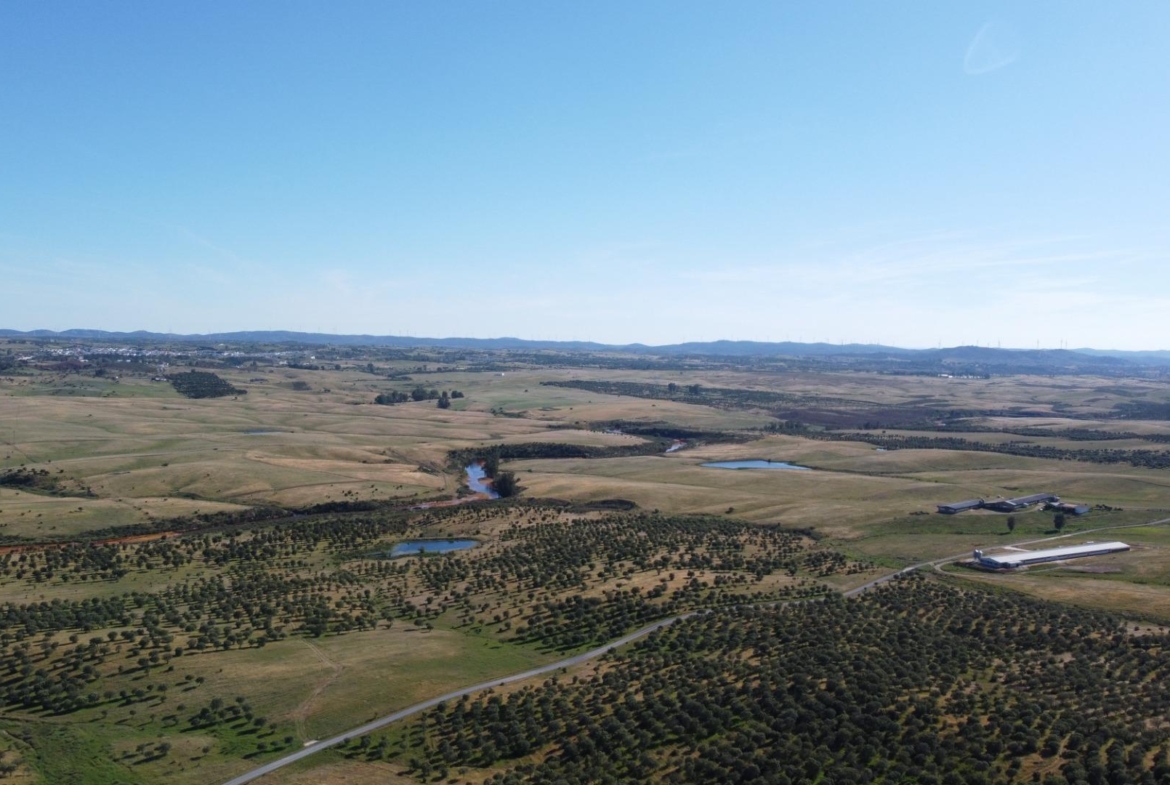 ESPECTACULAR FINCA DE 88HA DE PASTOS CON CORTIJO Y NAVES A 40 MIN DE LA COSTA