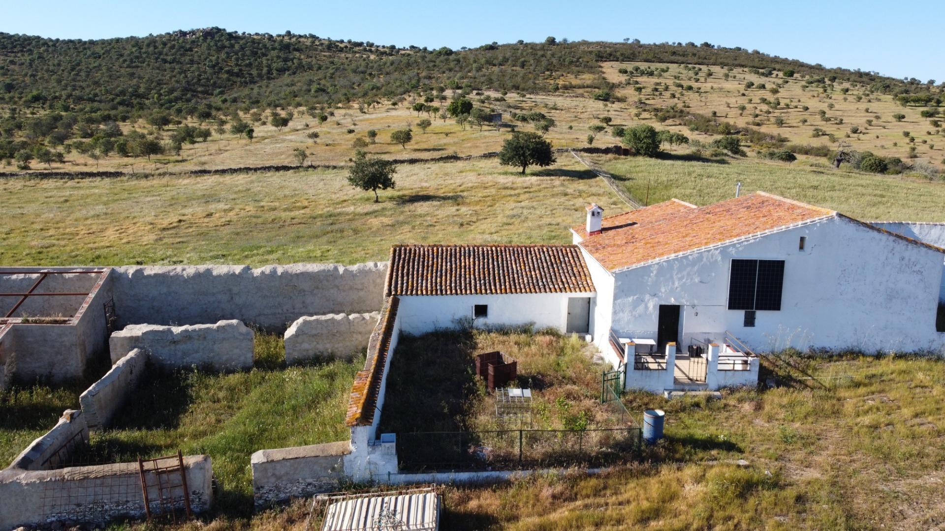 11-4 ESPECTACULAR FINCA DE 88HA DE PASTOS CON CORTIJO Y NAVES A 40 MIN DE LA COSTA