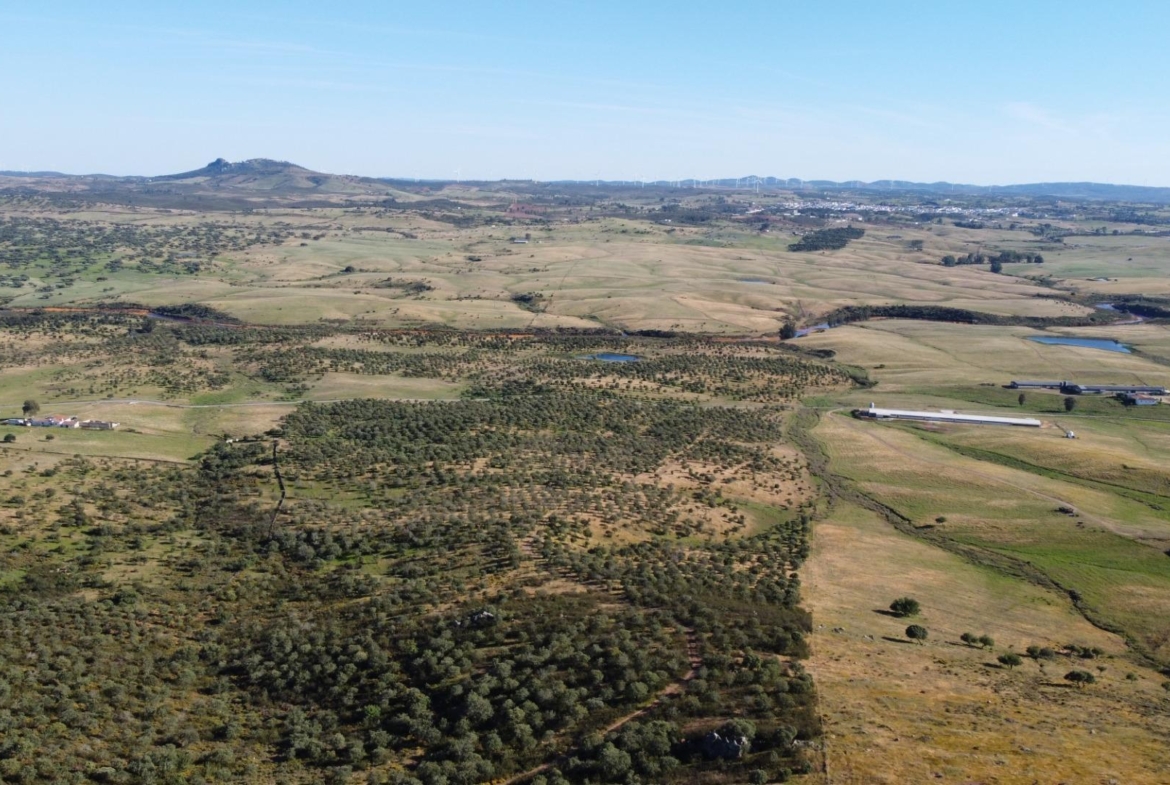 ESPECTACULAR FINCA DE 88HA DE PASTOS CON CORTIJO Y NAVES A 40 MIN DE LA COSTA