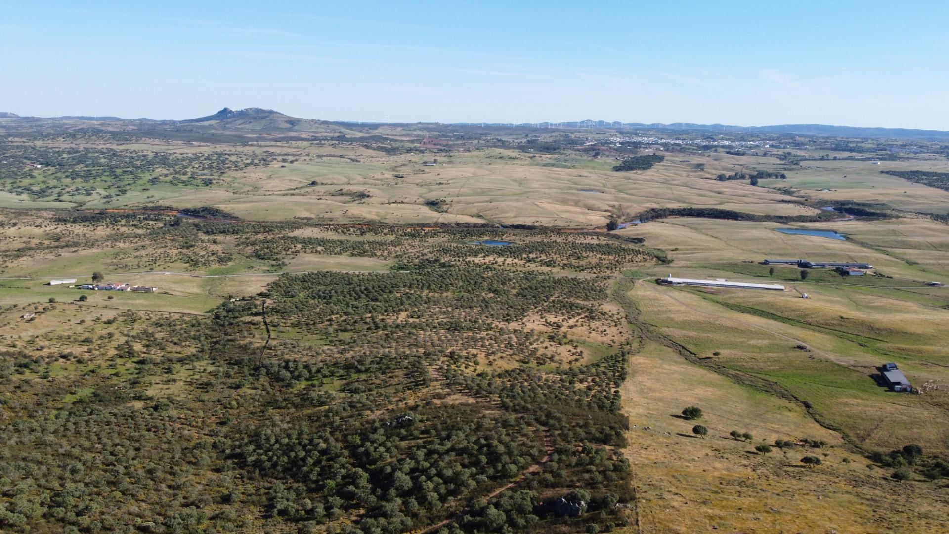 11-49 ESPECTACULAR FINCA DE 88HA DE PASTOS CON CORTIJO Y NAVES A 40 MIN DE LA COSTA