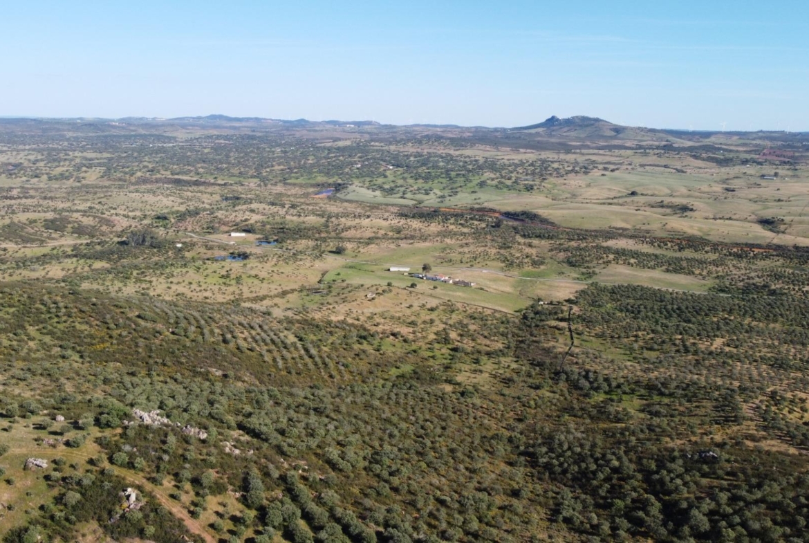 ESPECTACULAR FINCA DE 88HA DE PASTOS CON CORTIJO Y NAVES A 40 MIN DE LA COSTA