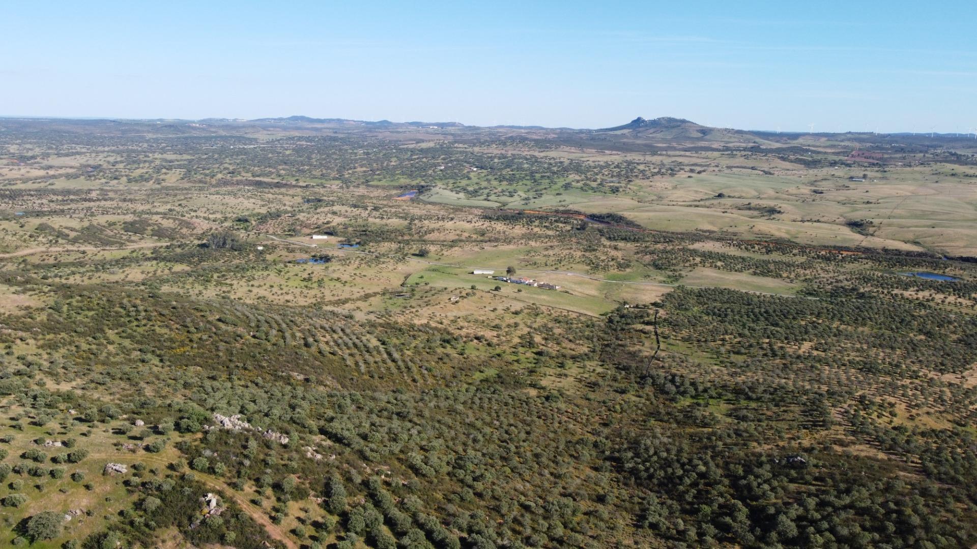 11-50 ESPECTACULAR FINCA DE 88HA DE PASTOS CON CORTIJO Y NAVES A 40 MIN DE LA COSTA