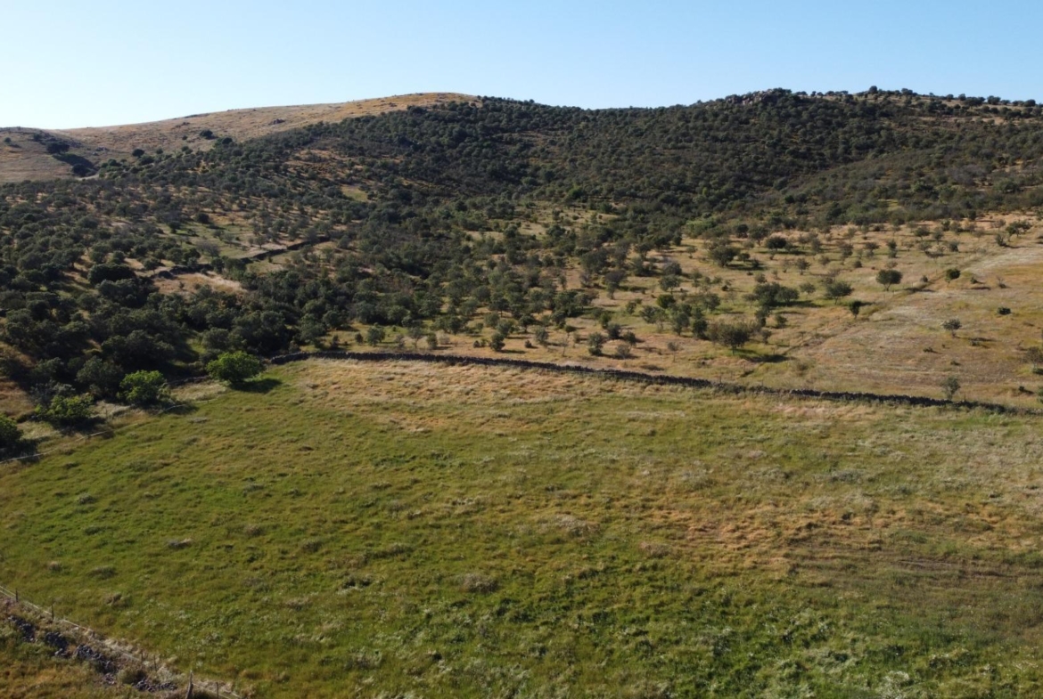 ESPECTACULAR FINCA DE 88HA DE PASTOS CON CORTIJO Y NAVES A 40 MIN DE LA COSTA