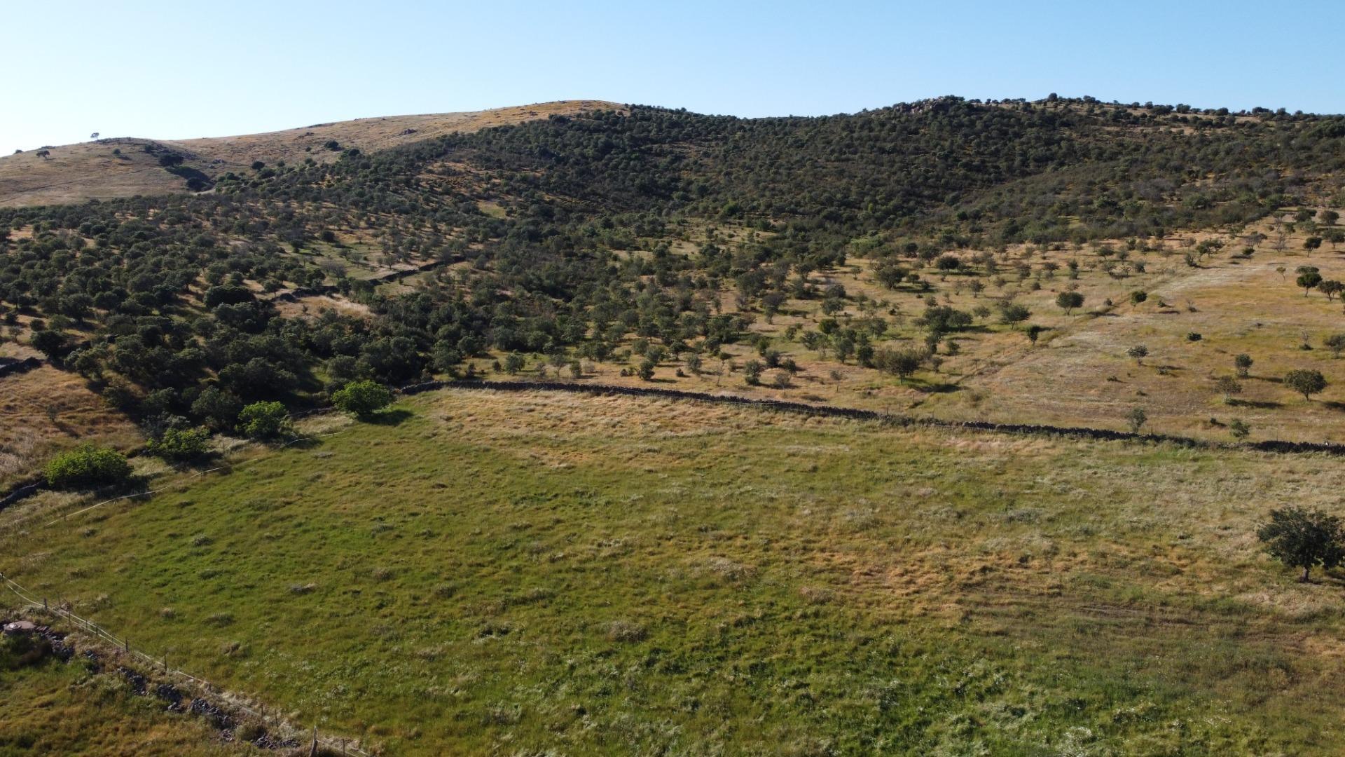 11-51 ESPECTACULAR FINCA DE 88HA DE PASTOS CON CORTIJO Y NAVES A 40 MIN DE LA COSTA