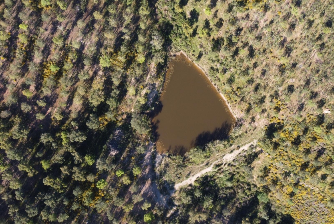 ESPECTACULAR FINCA DE 88HA DE PASTOS CON CORTIJO Y NAVES A 40 MIN DE LA COSTA