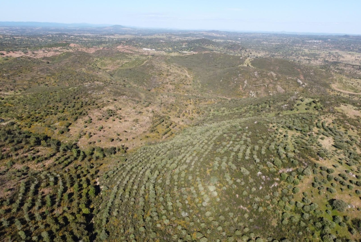 ESPECTACULAR FINCA DE 88HA DE PASTOS CON CORTIJO Y NAVES A 40 MIN DE LA COSTA