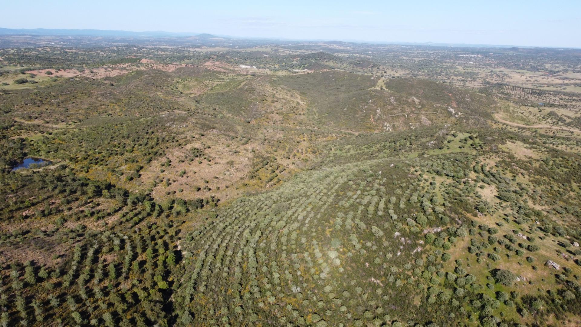 11-55 ESPECTACULAR FINCA DE 88HA DE PASTOS CON CORTIJO Y NAVES A 40 MIN DE LA COSTA