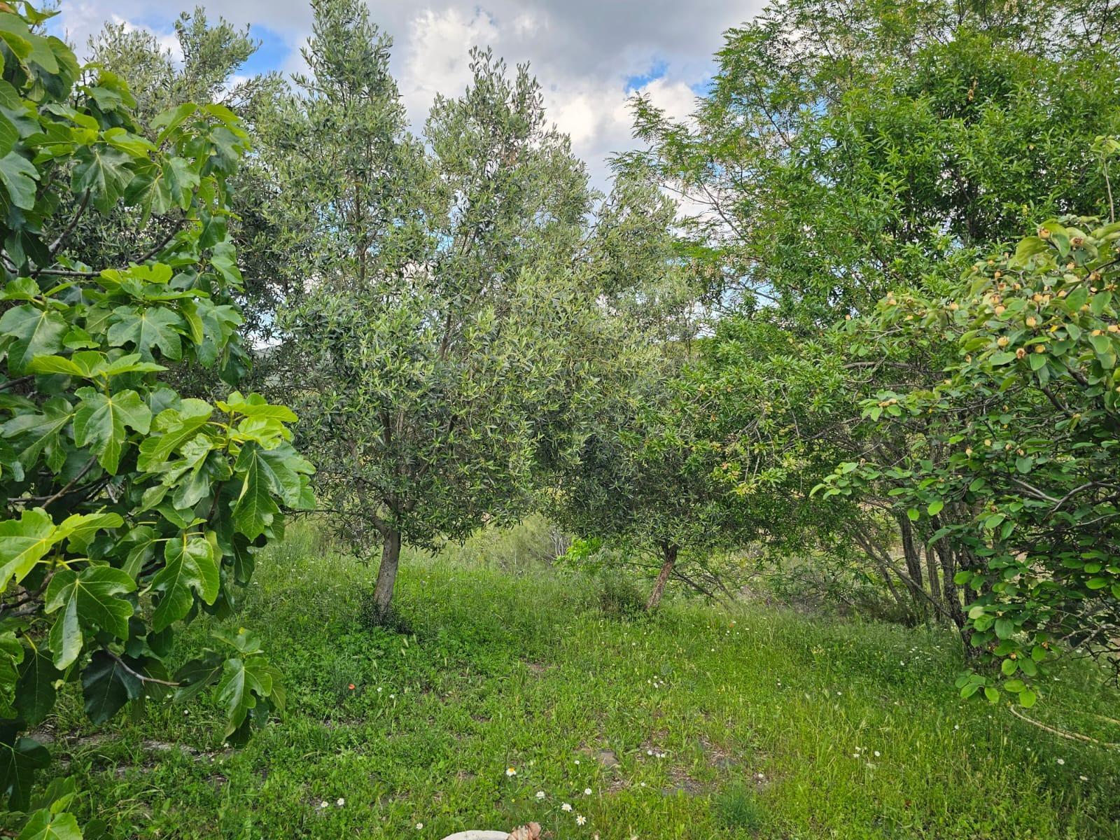 24-54