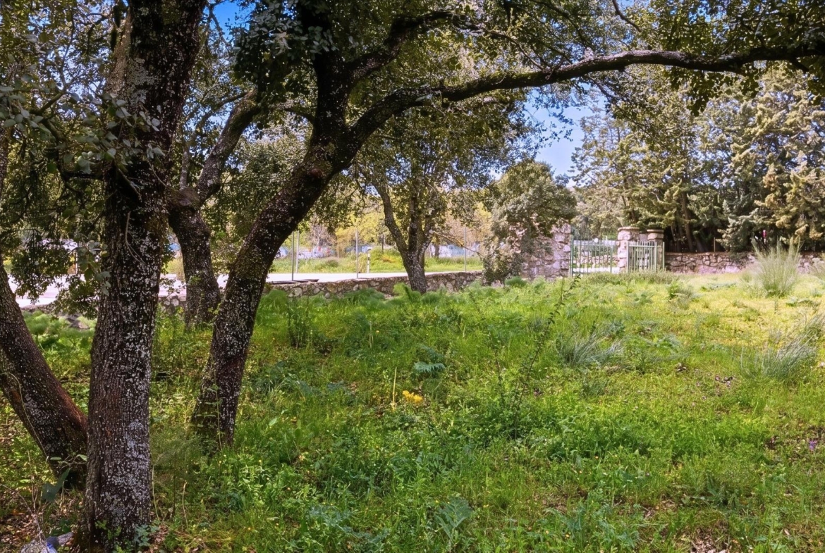 EXCLUSIVA PARCELA URBANA EN LOS JARALES – GALAPAGAR/TORRELODONES