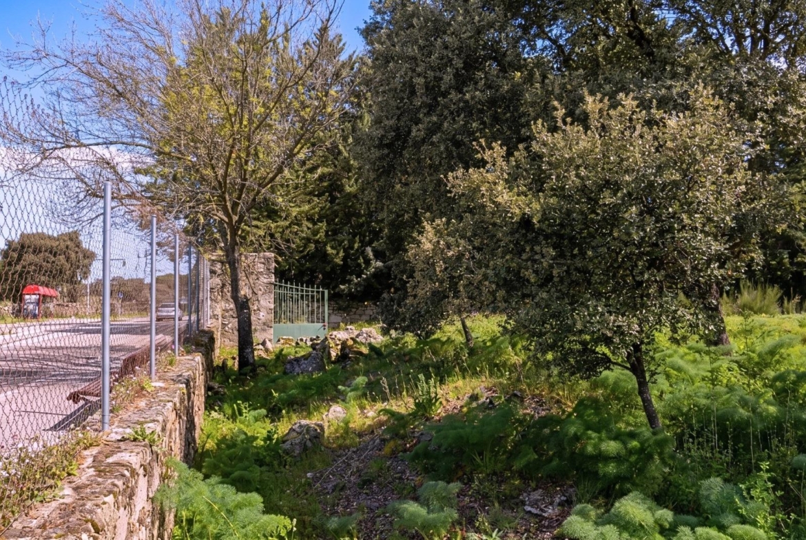 EXCLUSIVA PARCELA URBANA EN LOS JARALES – GALAPAGAR/TORRELODONES