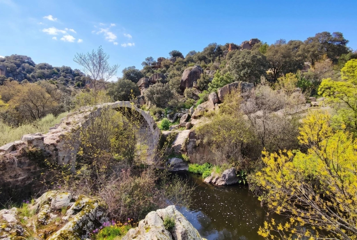 EXCLUSIVA PARCELA URBANA EN LOS JARALES – GALAPAGAR/TORRELODONES