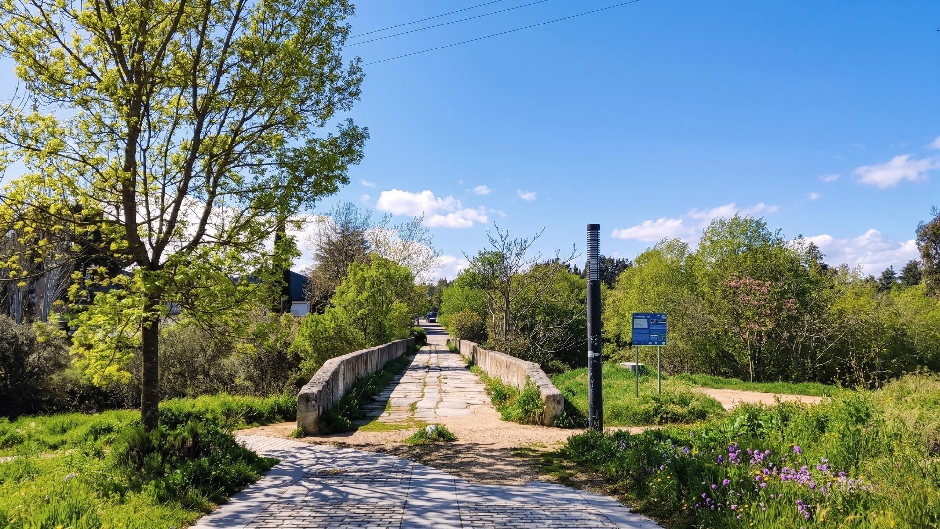 3-31 EXCLUSIVA PARCELA URBANA EN LOS JARALES – GALAPAGAR/TORRELODONES