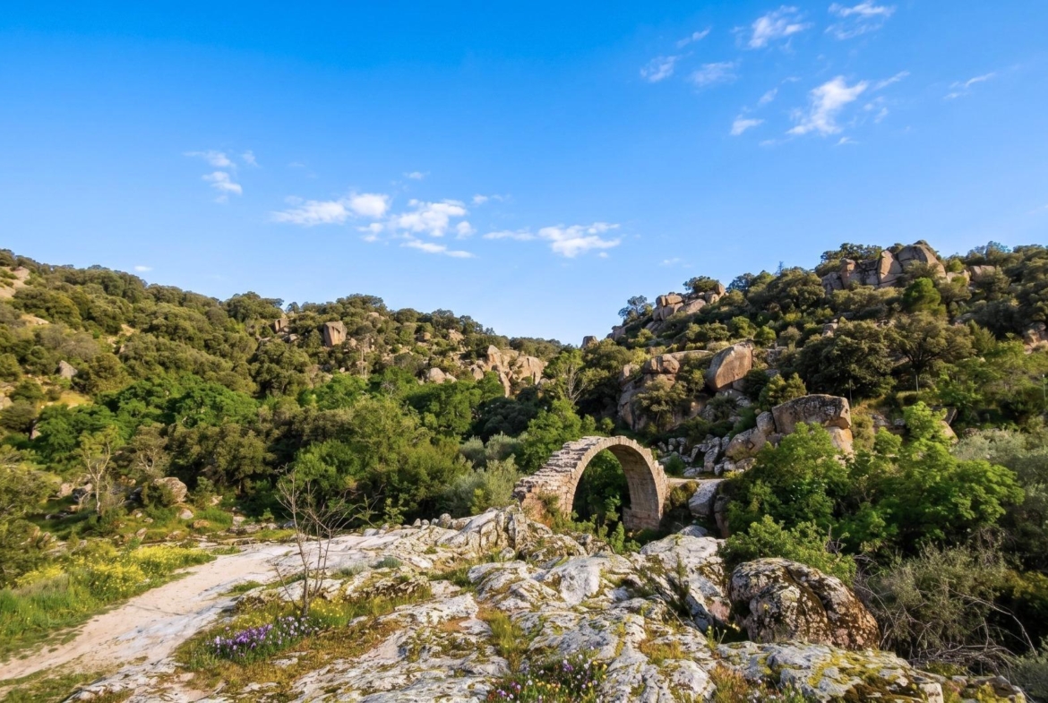 EXCLUSIVA PARCELA URBANA EN LOS JARALES – GALAPAGAR/TORRELODONES