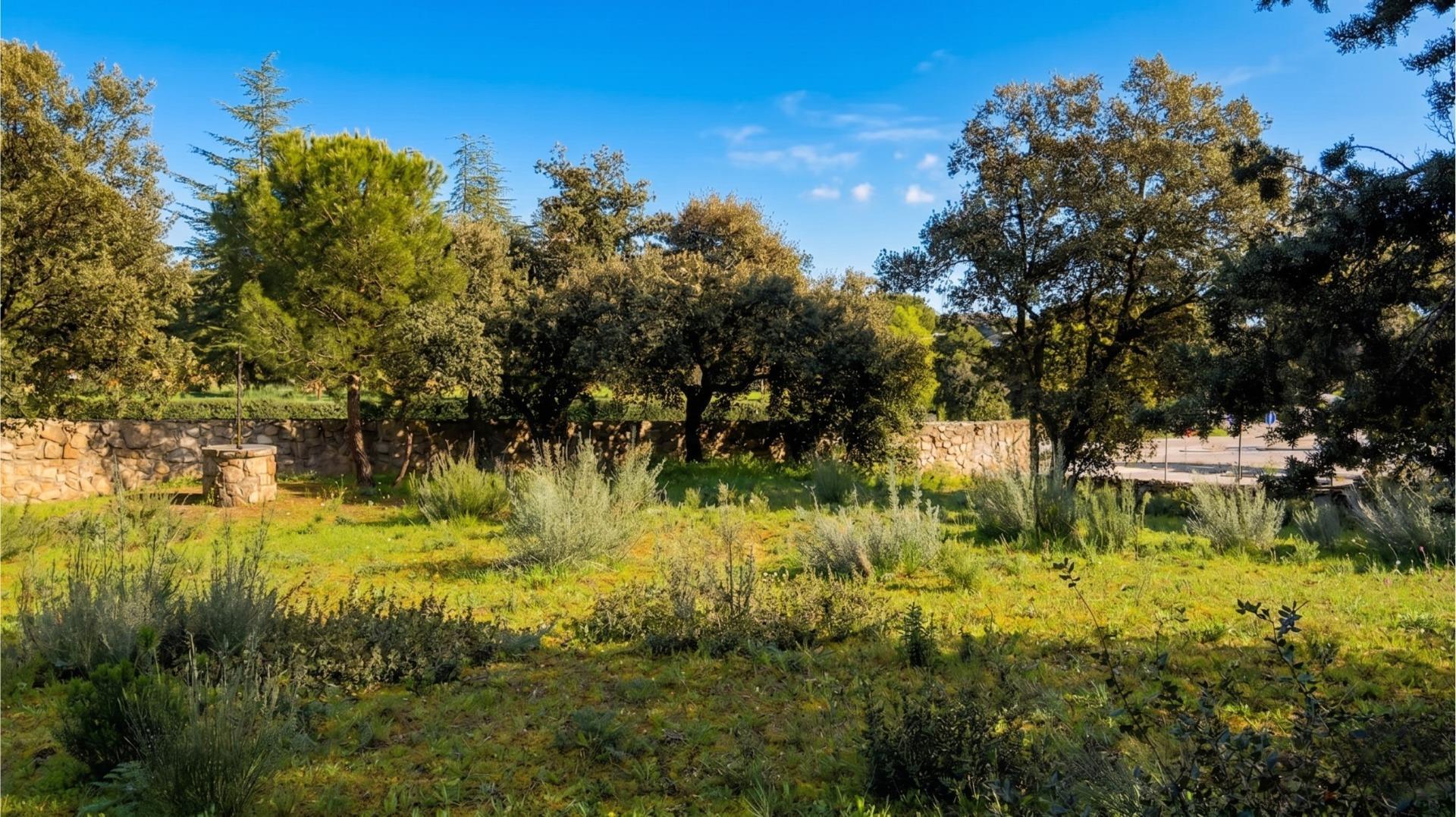 3-7 EXCLUSIVA PARCELA URBANA EN LOS JARALES – GALAPAGAR/TORRELODONES
