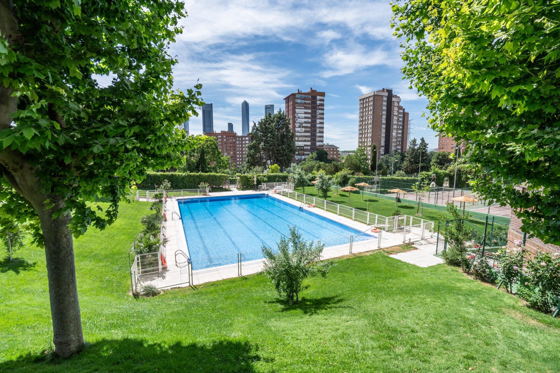 3-13 ^**^LOCAL COMERCIAL PREMIUM DE 380 M² JUNTO A CHAMARTÍN Y MADRID NUEVO NORTE^**^