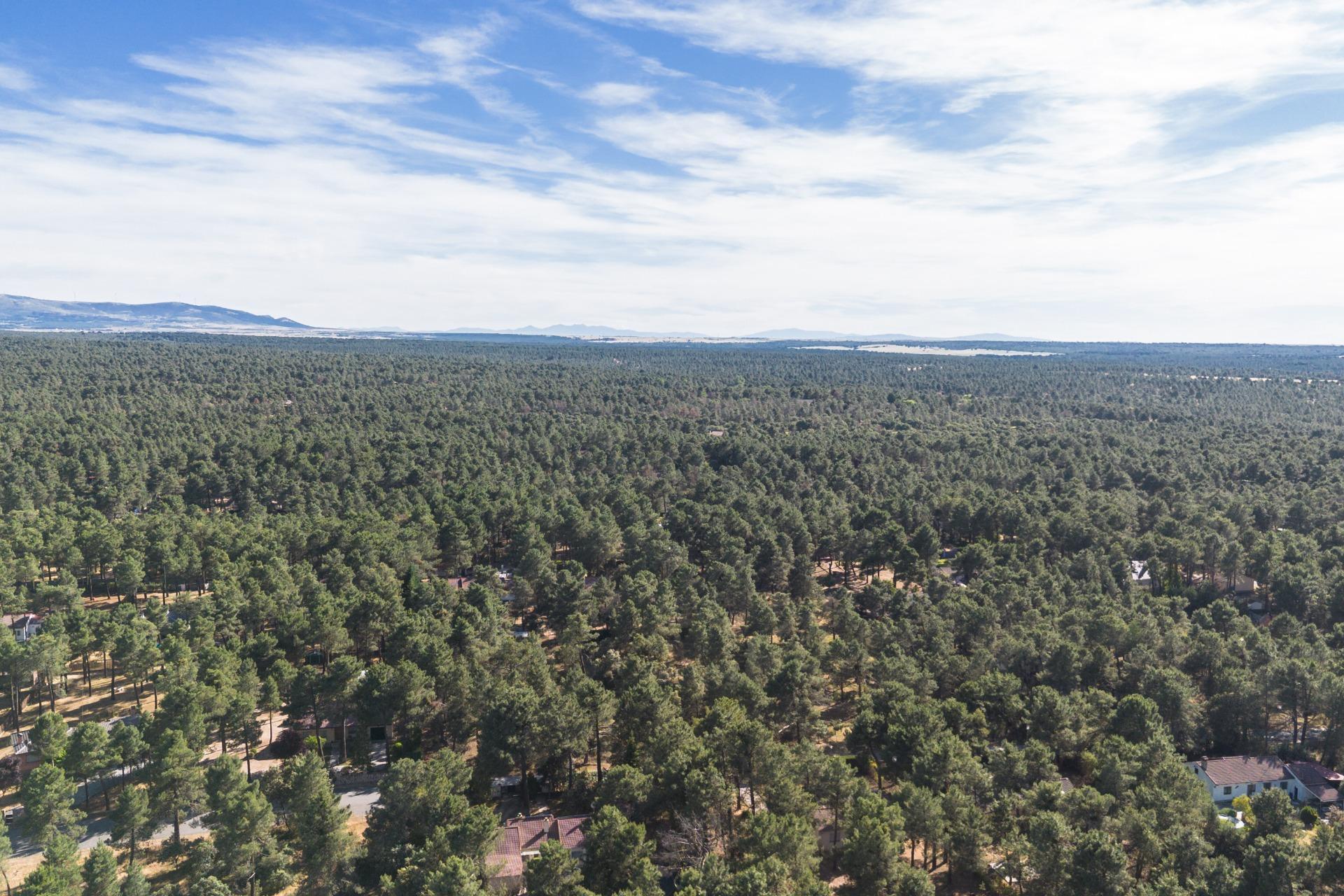 1-10 Terreno en alquiler, Marugan